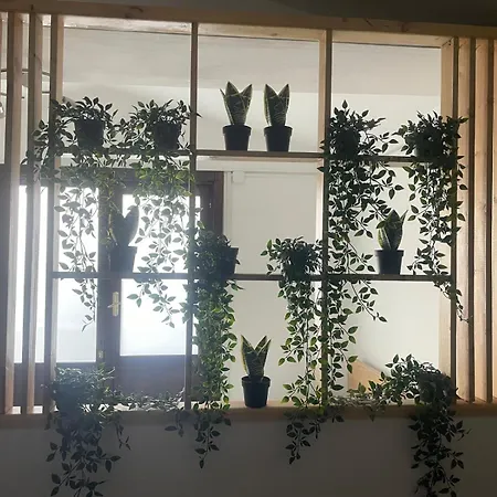 Casa Da Cinzia 펜션 *