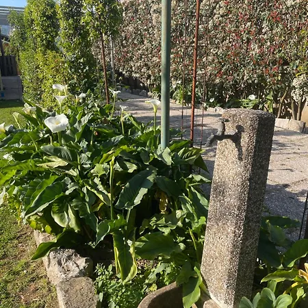 펜션 Casa Da Cinzia *